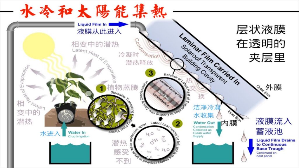 金豆荚每天都有洁净水和新鲜瓜果蔬菜和活鱼